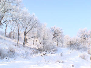 winter002.jpg
